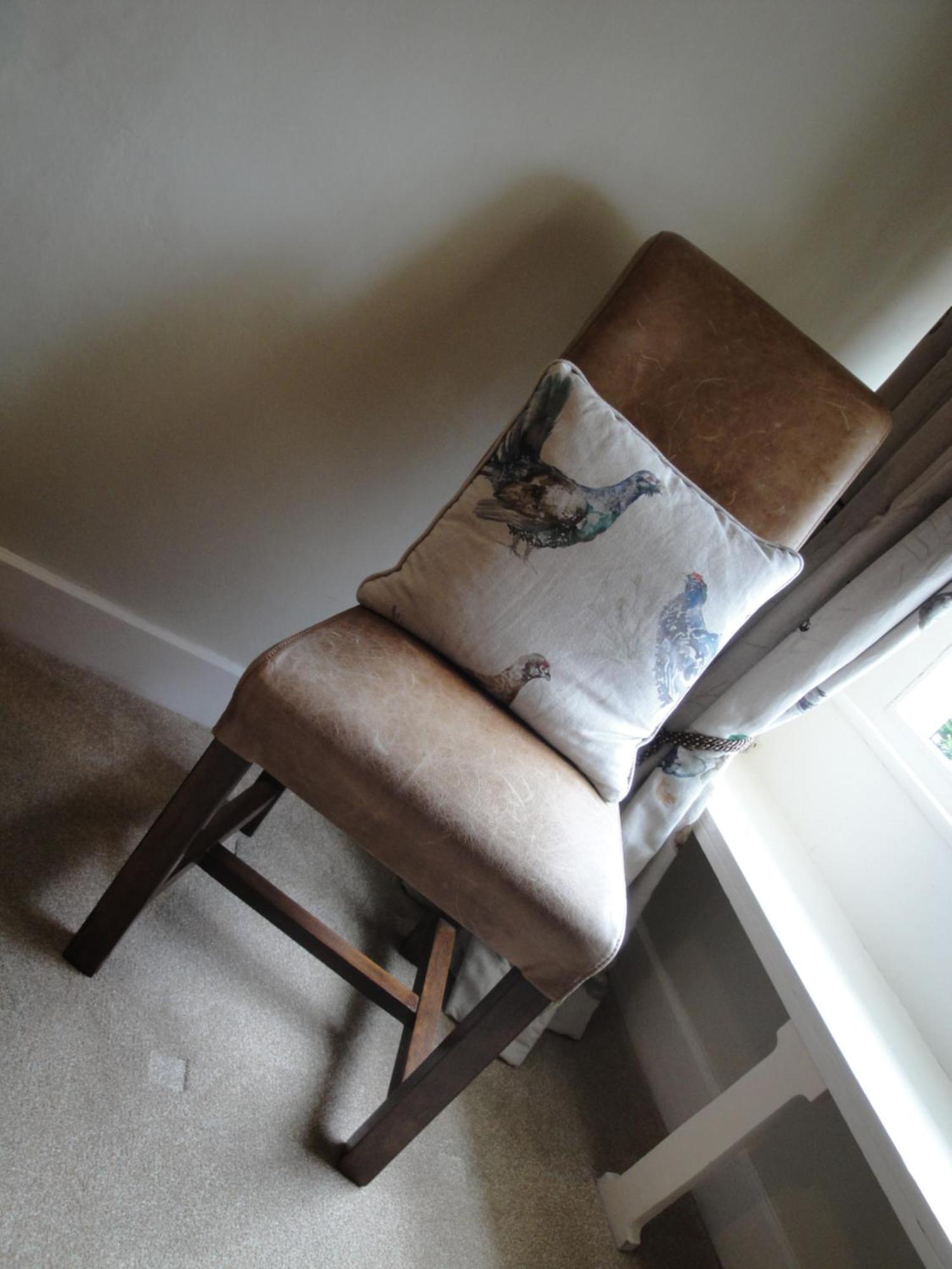 Cary Fitzpaine House Bed and Breakfast Babcary Rum bild