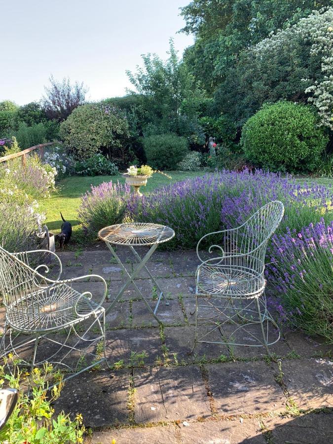 Cary Fitzpaine House Bed and Breakfast Babcary Exteriör bild